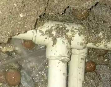 霍林郭勒测漏水多少钱