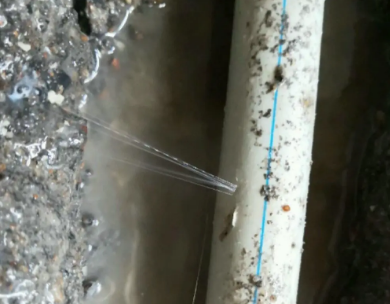 霍林郭勒测漏水哪家好