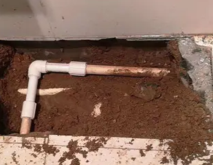 霍林郭勒测漏水哪家好