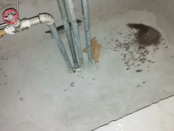 霍林郭勒卫生间测漏水价格明细