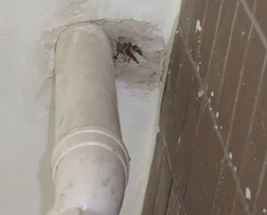 霍林郭勒漏水检测哪家好